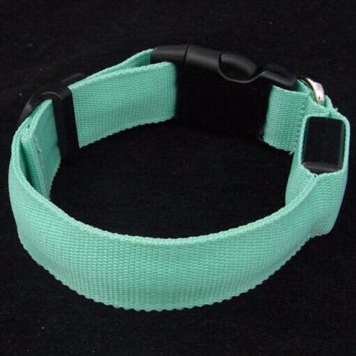 Premium Glow-In-The-Dark LED Safety Collar